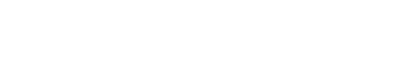 Inspektcar