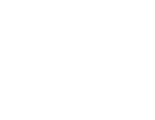 The Store Development Company