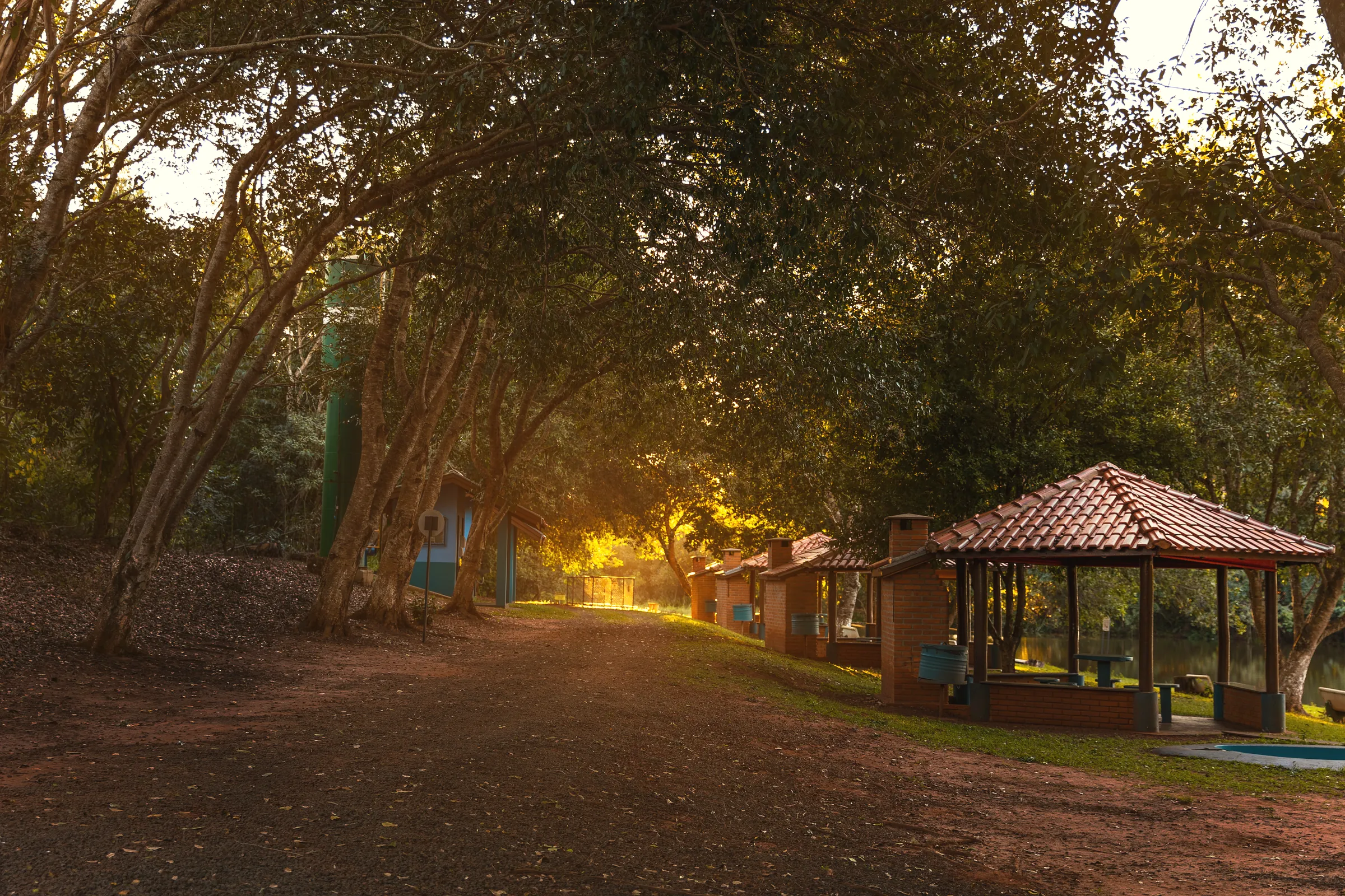 Trilha de terra sob a copa das árvores, com luz do fim de tarde